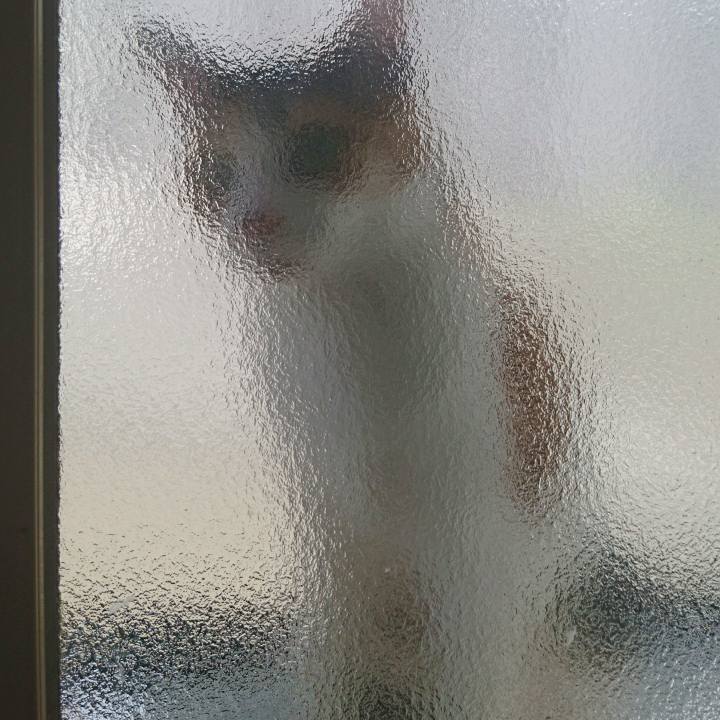 795acc8a 02da 436f b312 42cb1f82b86d 1623800221475