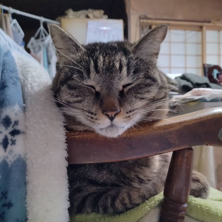 795ae0af f666 4a6a 9443 358d85b52f60 1679444280875