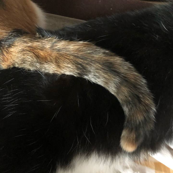 795b0219 2cef 4c08 9760 dfab8d5ede12 1602598296222