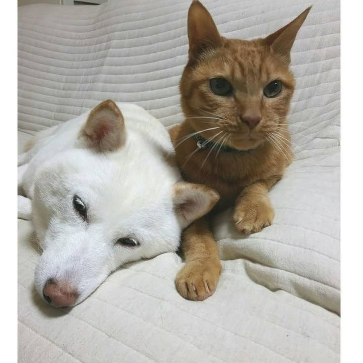 795b0813 7e94 4a00 ac77 2181a9591352 1596376676611