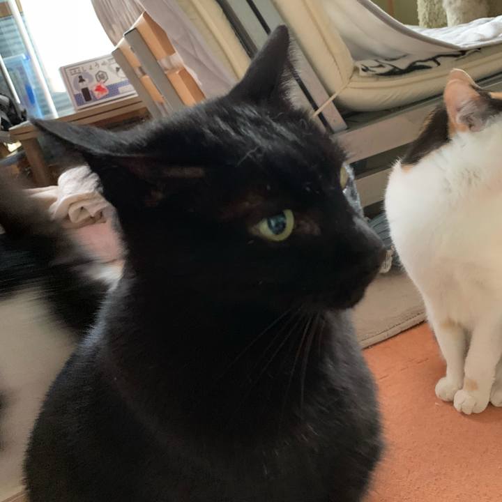 795b0e4f a4ff 42d4 8a44 7588b6ce7543 1540951121224