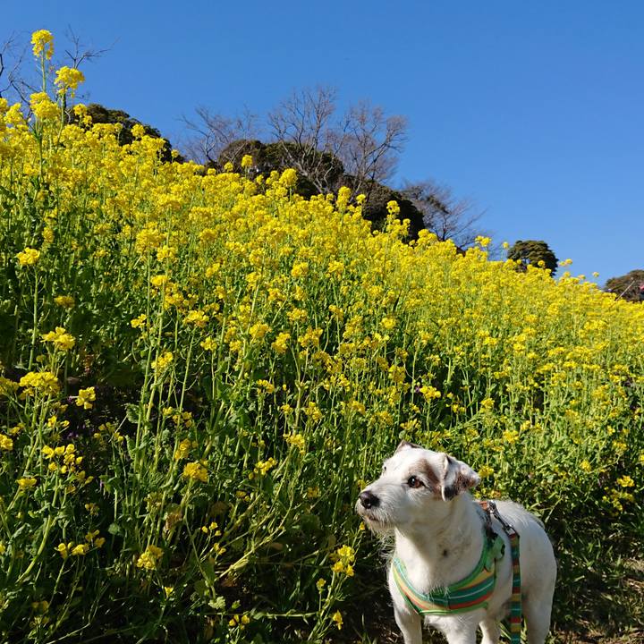 795b675b b62a 48cb b790 8c1483601b6f 1553430265753