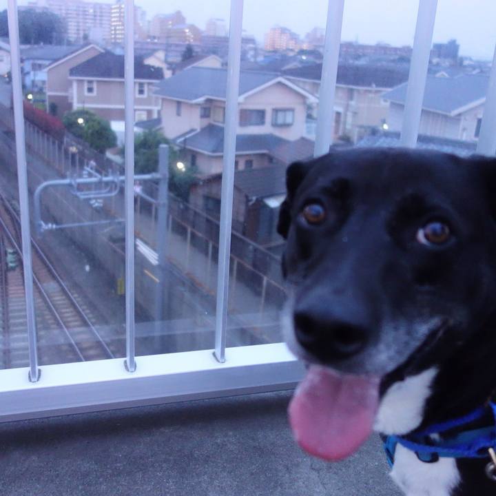 795b8d53 a025 4201 8b3b 8eee5cd8cb9c 1686309025726