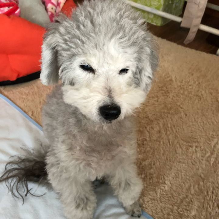 795ba6dd 3b3f 4d92 957c 94d22891bb82 1544482978336