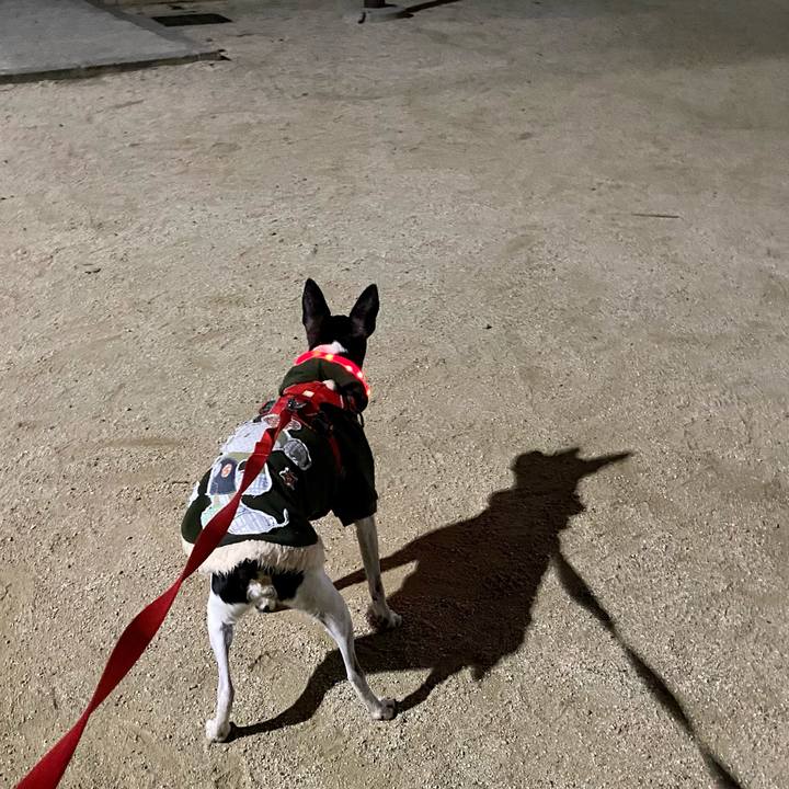 795ba83f 5675 4cb1 8c78 c1d14584a645 1614261941692