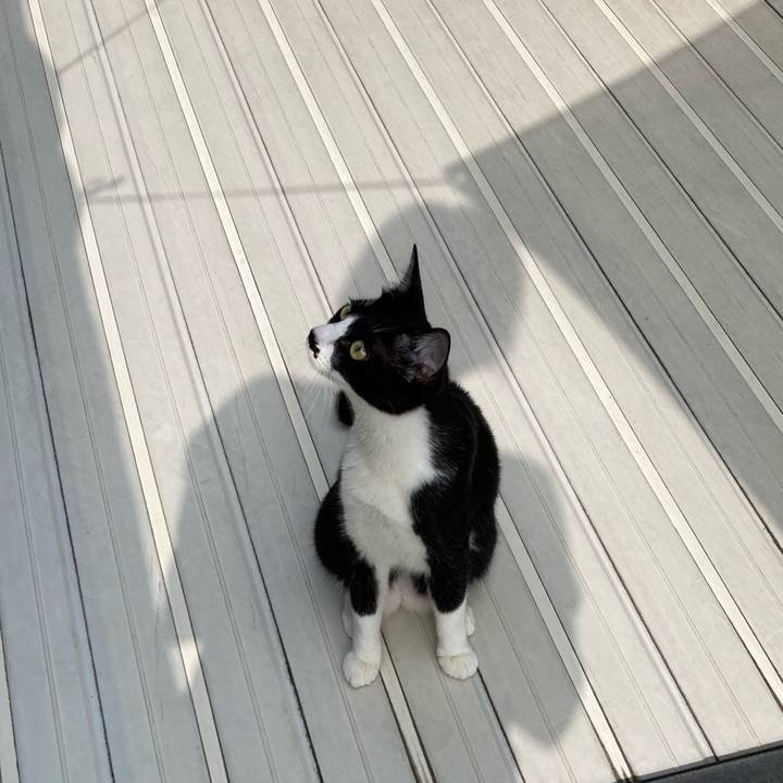 795bc6cf 8402 4b96 a671 cb9aa334b9b4 1692489982389