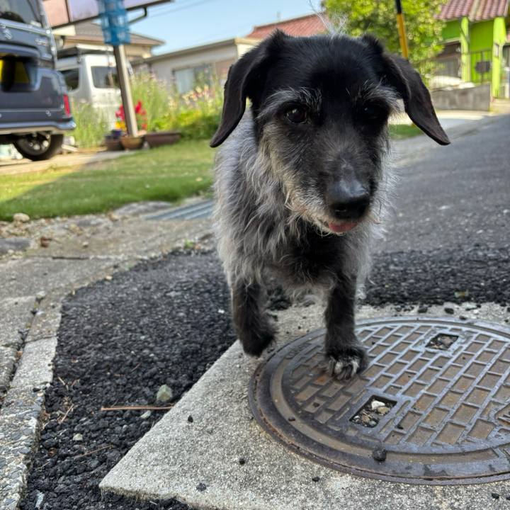 795be2a0 9116 490d a588 412f1df823cd 1746659789170