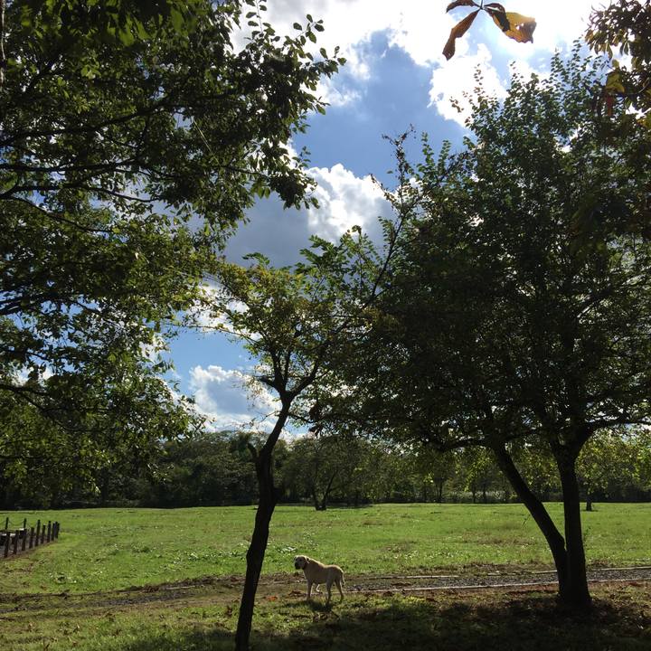 795c0d2c 66b8 47fb bdb7 2b224c11fdf9 1568463821285