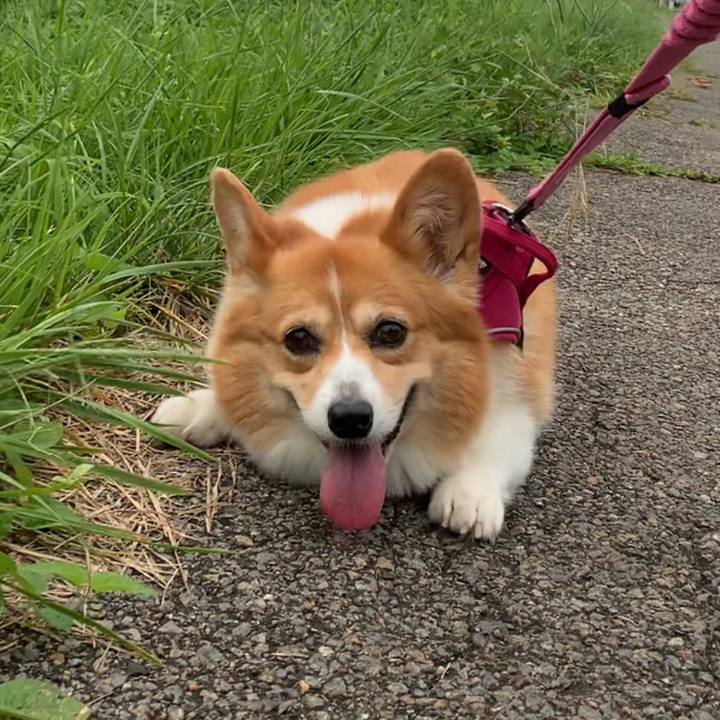 795c103b b658 46c7 a97d 374a318fc052 1659571475284