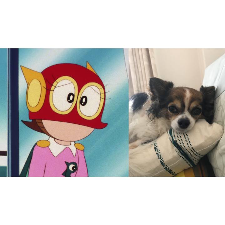 795c360b d066 4d5e b546 9790665e2905 1594286949186