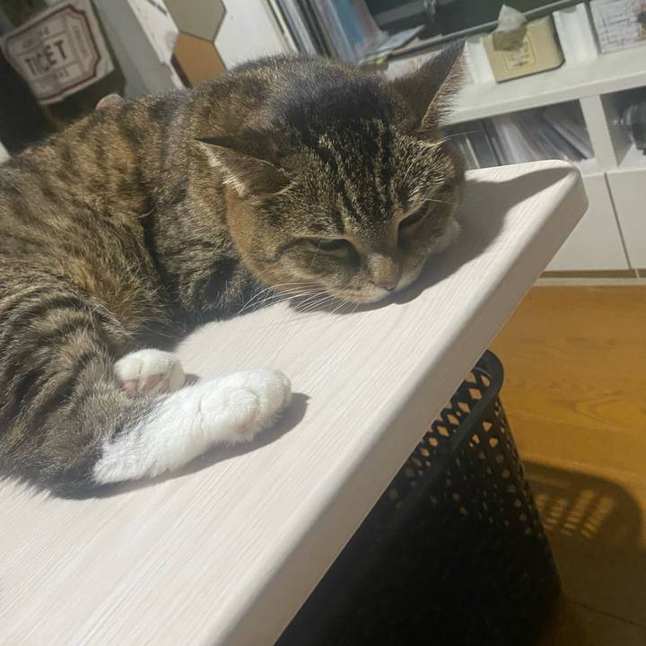 795c544e f086 403b 97d3 768a192f129c 1723301238151