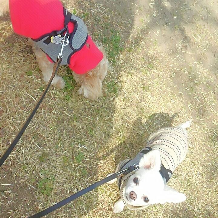 795c870b d066 4dba 86fd a4daf28ed506 1553670045331