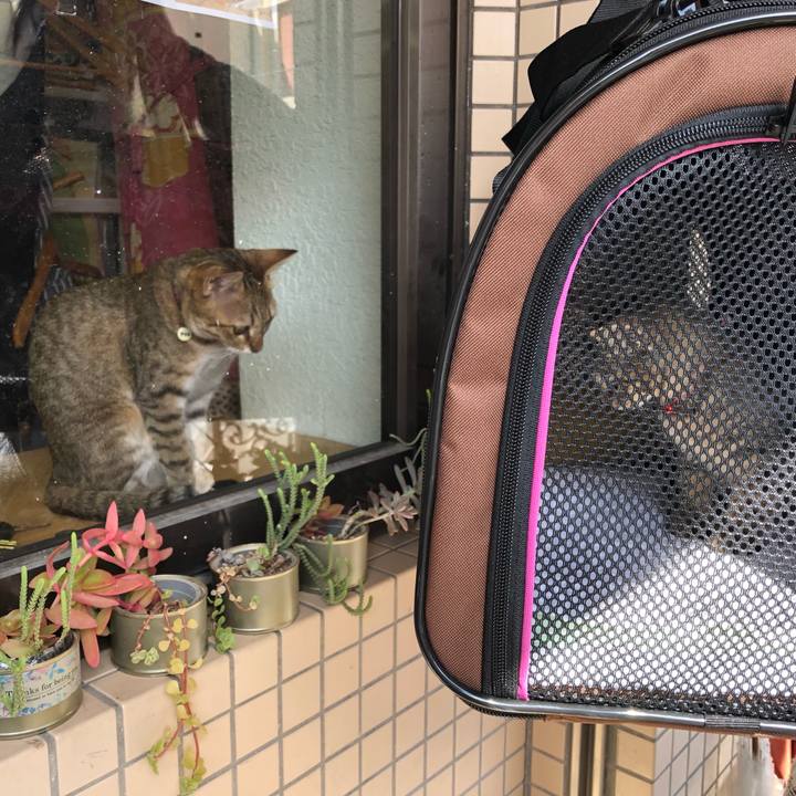 795caedb b682 4dd8 bd00 a95f8c1ddeae 1603078232891