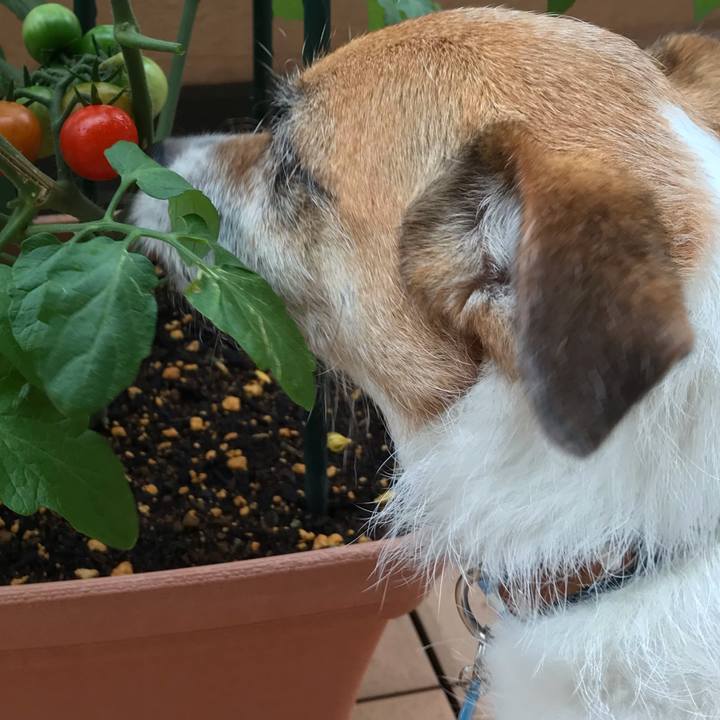 795cafb0 6061 4e80 a152 292e0894adcb 1561242036432