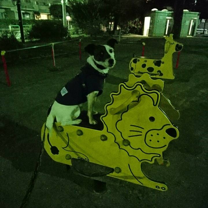 795cc9ea c847 429b 8a0c c597869c2cb1 1522840405819