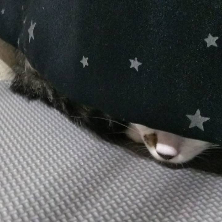 795d069b c64a 42be b155 7e49611a2c39 1608895490104