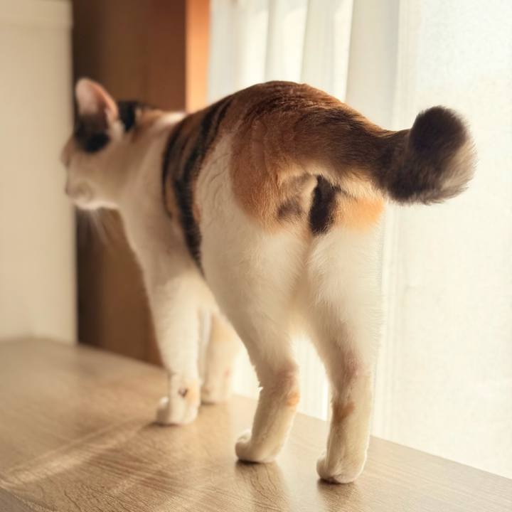 795d2004 1cc5 4408 9521 01273bc26303 1771811538348