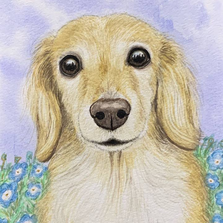 795d4976 351c 43ef 8db3 0977f1599d4f 1697360426126