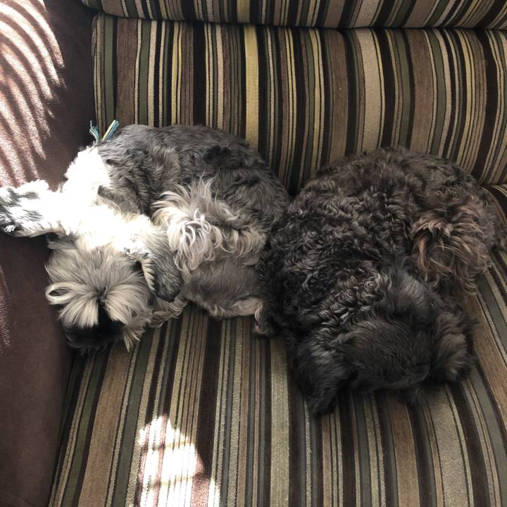 795d984c d648 47e6 9fb3 a0cce358f64d 1573172483710