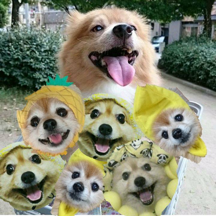 795d9adc b892 4143 bc35 83578ca83ea4 1535585350794