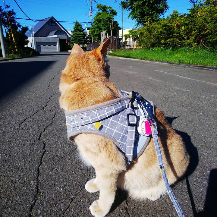 795db806 0e78 4312 ae99 bc5ebe331f8c 1654587723979