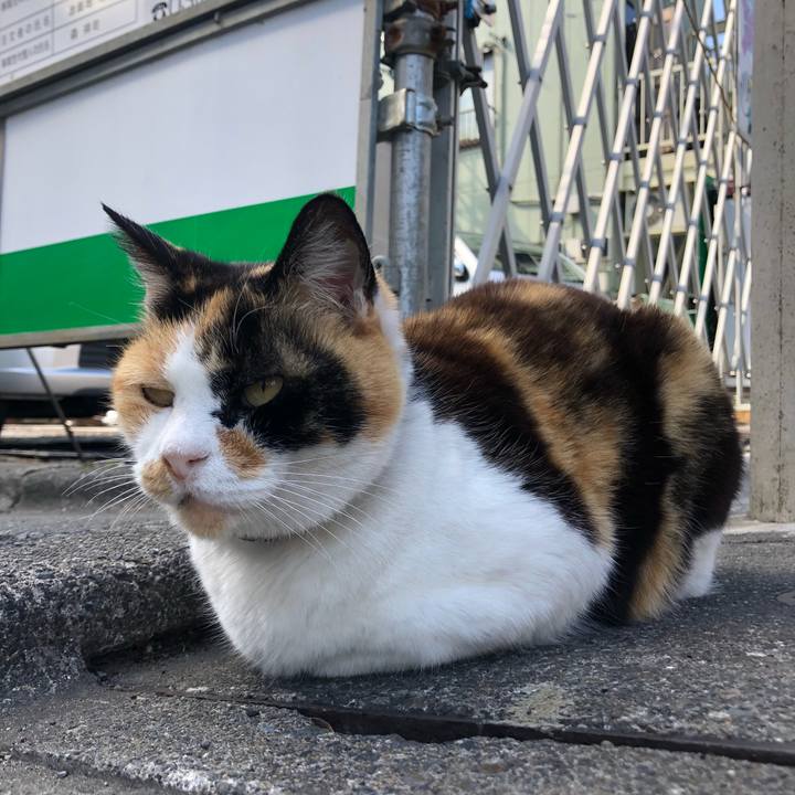 795dd0c1 a932 4f6f a7bc 53038a336df5 1589719903275