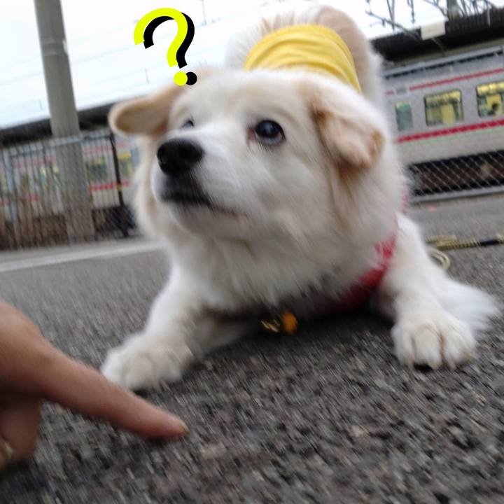 795dd0cc ea57 43d7 b41a b851cd70717c 1644613963295