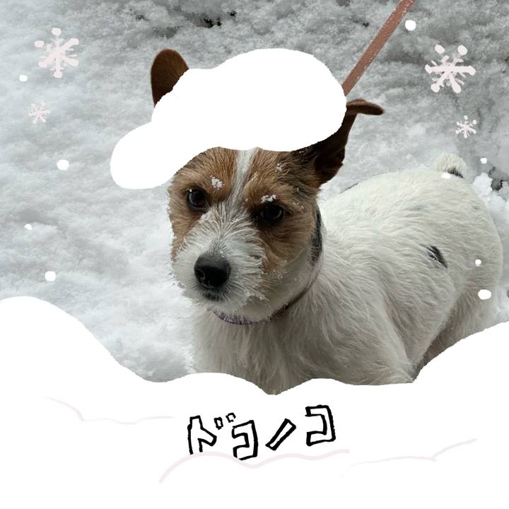 795df1d8 830d 472e bd5e e1f3c1c8fd62 1771835815616