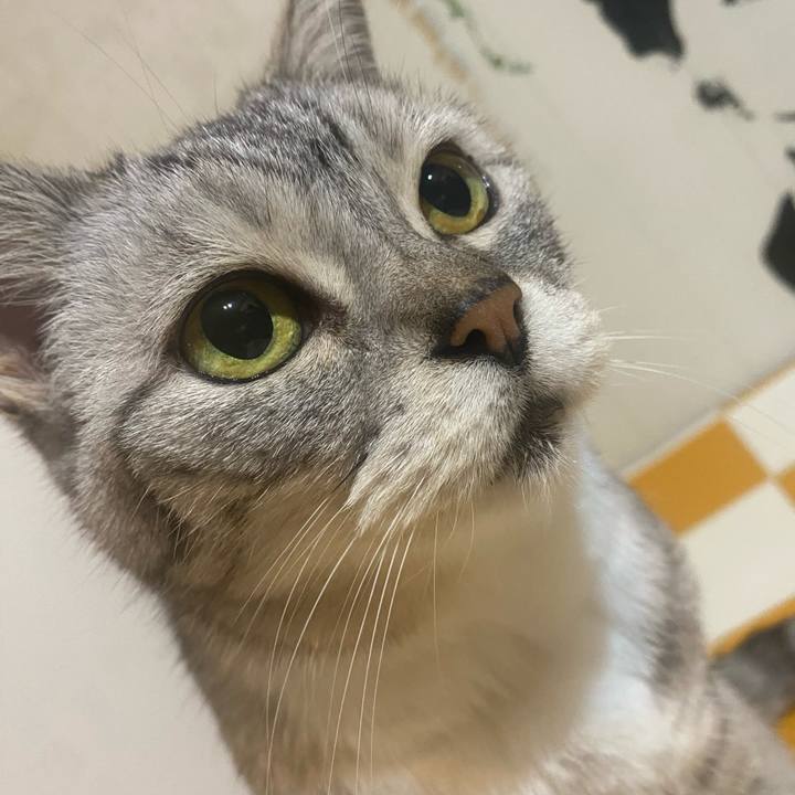 795df265 e56b 4584 8594 c91dcada1cf7 1747776501903