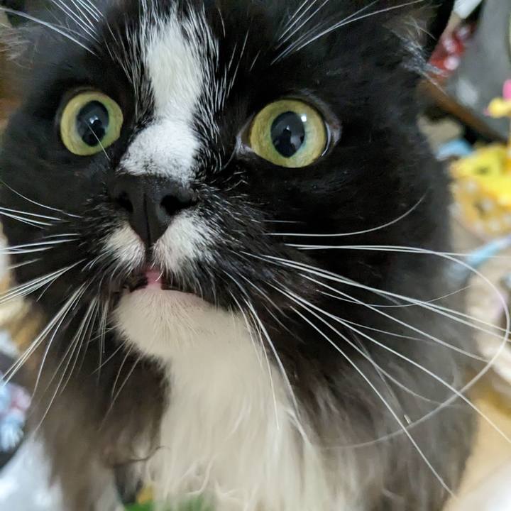 795df52f 79e4 45ce 94a1 5a217a26f922 1694949984008