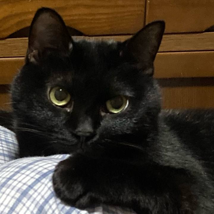 795e2da8 43d0 4d0d 9f5d 3e0f43436b35 1634475305902