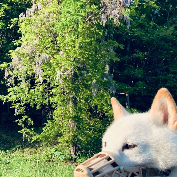 795e4a7c aada 439d b0a7 f9f0e14c5f70 1622927140441