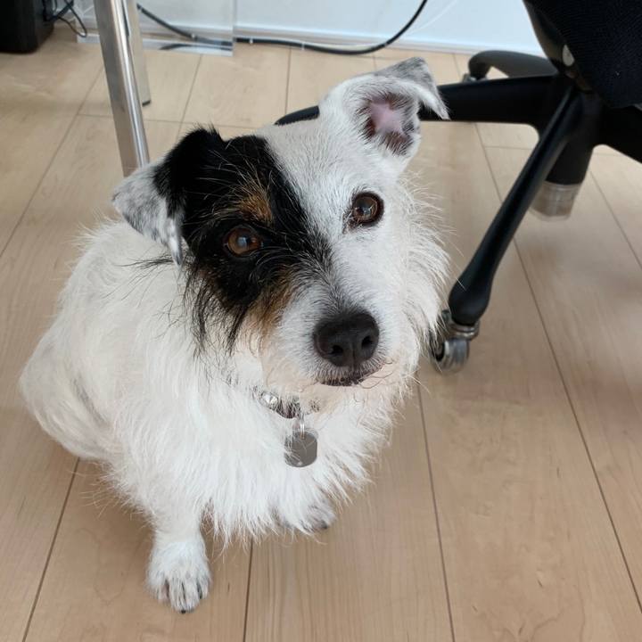 795ea2c7 0aca 40a3 8c75 157f2a2d0de6 1591847134857