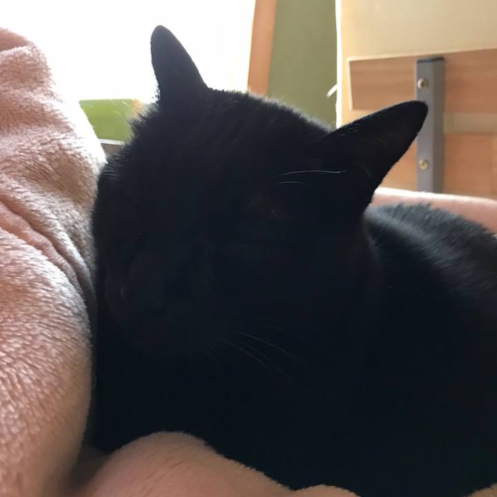 795eaeec 09c6 457d bbb2 fc9ff2e35b50 1513299337994