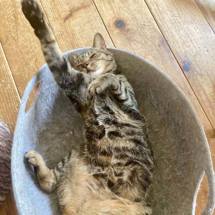 795ec37d 0b7d 4f99 a29a dc63ad339d9e 1722123583195