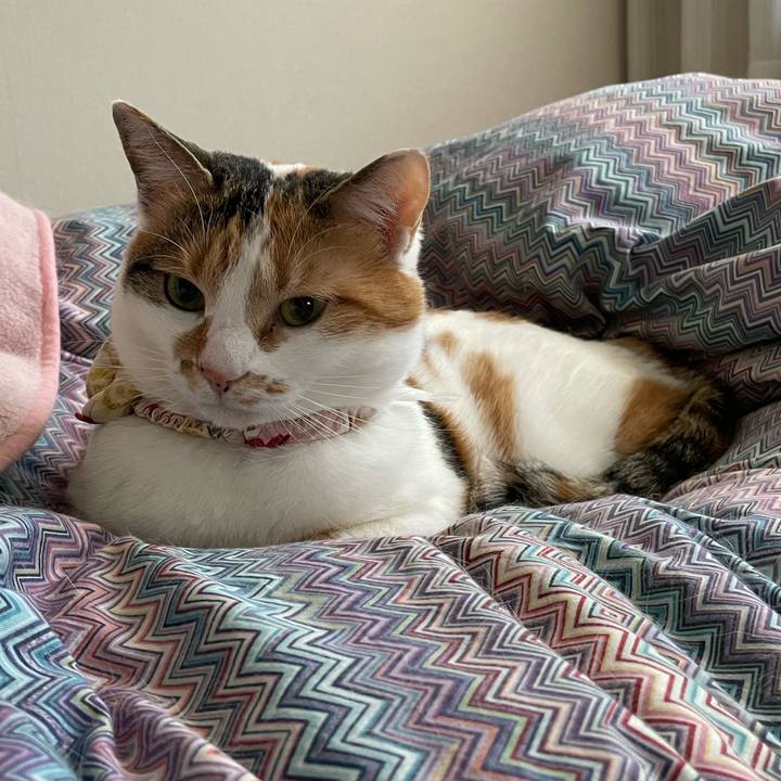 795f118c aba1 45ef 80a4 82ecea441271 1648079418085