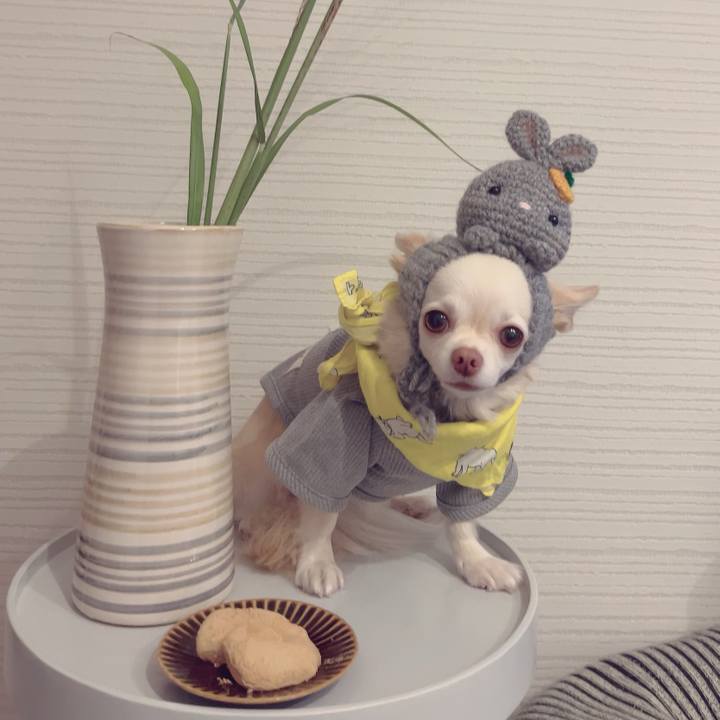 795f1892 0014 4fcc 9c06 41f5c9d7cd66 1695990472779