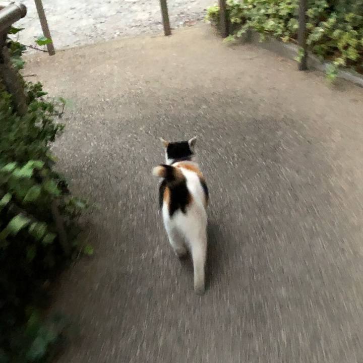 795f196e fb3d 4e87 9f91 f55b18f53c51 1607380039981