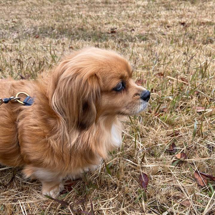 795f55aa 81ec 457a a337 818f343f0bba 1607820597102