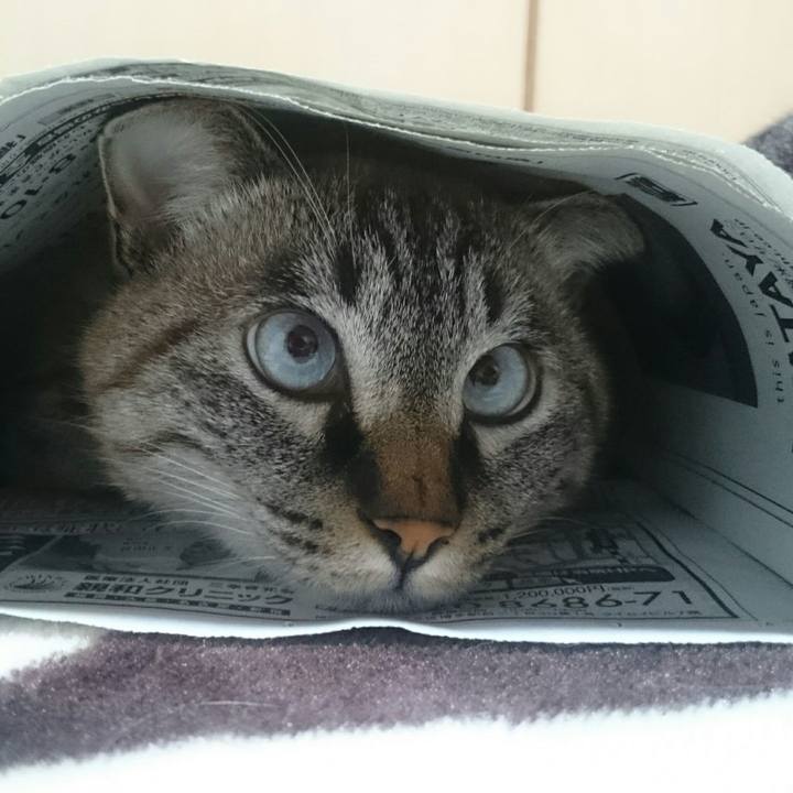 795f5c1f 3f01 4d5c a4b2 e95f87031385 1512647193645