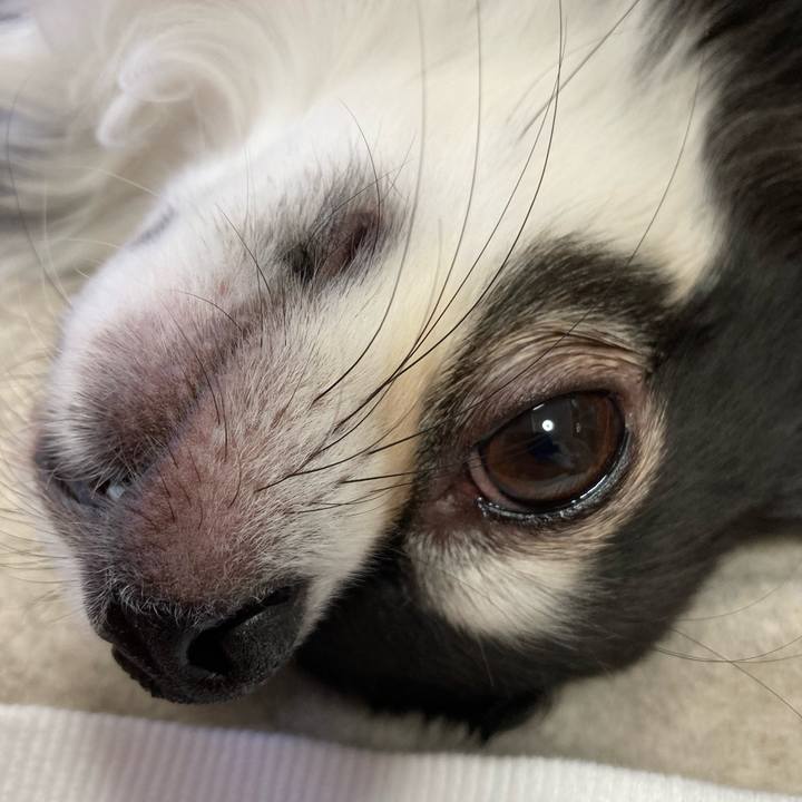 795f5d8f 10ba 4082 8023 ba753612ea6f 1677337093211