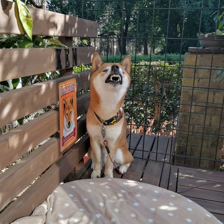 795f699d 19bc 4489 9147 c651a365a754 1613816222890