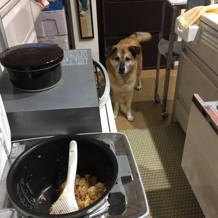 795f6f23 001f 4be5 a807 1a95d0024685 1584267272201