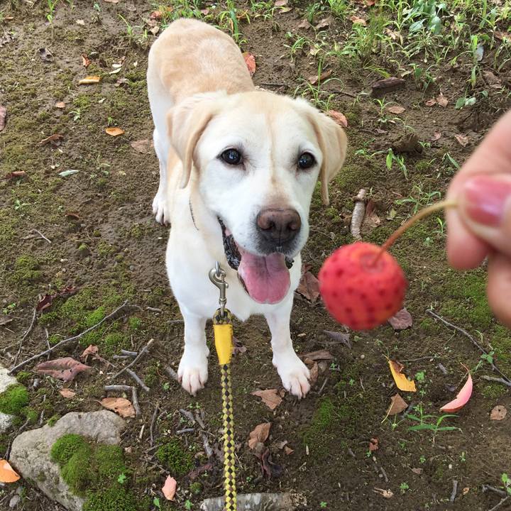 795f9439 7ab8 43d2 b550 24861d680802 1537076507626