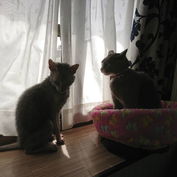 795fed04 6470 42d9 a2de 8ea81ffde62b 1519795384084