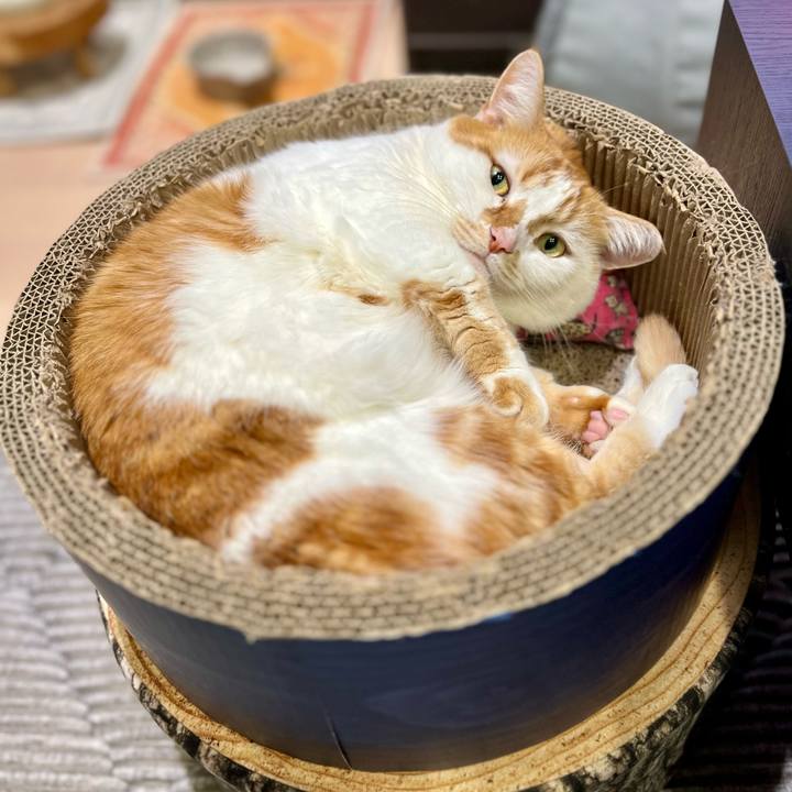 7960070b a5a5 4a38 a2f4 9f57ebaef4c3 1768016949630