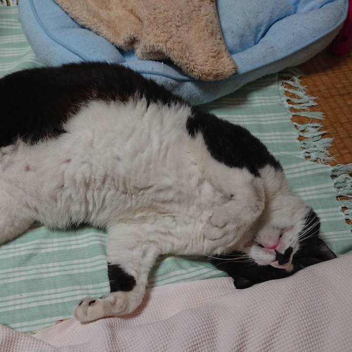 79600c01 df2a 4ccc adae 276a52d6a54a 1563941391925