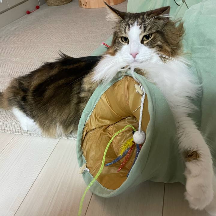 796027fc 3f33 45fd 9bfe 45cbdf3b6634 1673216672806