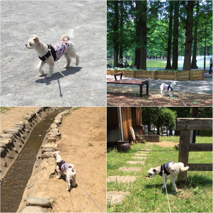 79602bdb fa38 4e6c 9fcd ecdb26004fa2 1527924521538