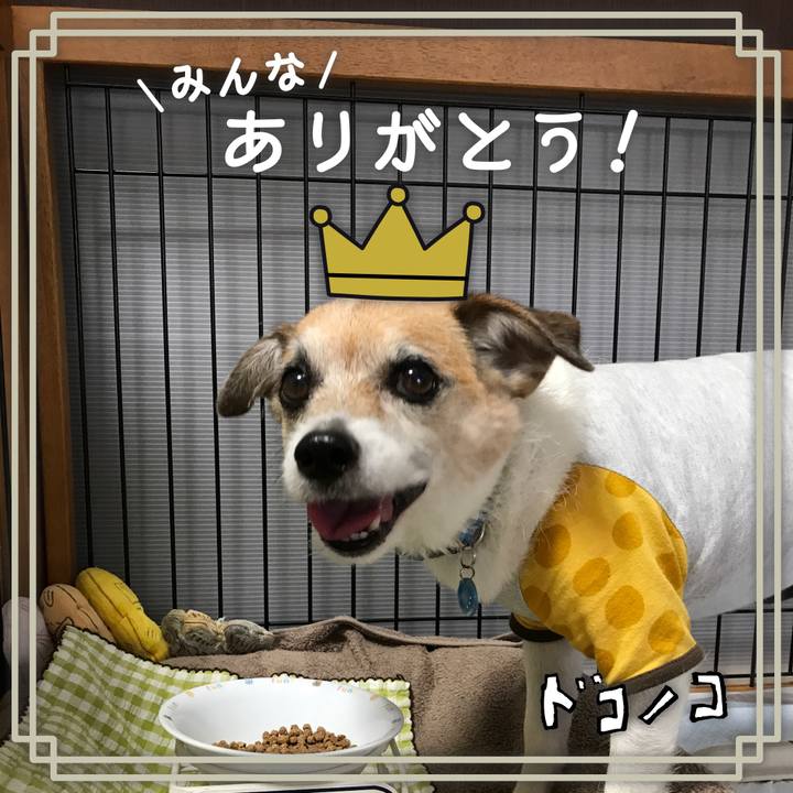 796080cf 069b 47bb 93a4 d0a006e42372 1622887205829